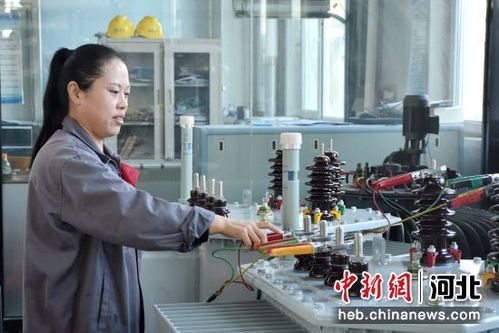 河北清苑 綠色工廠為經濟發展注入新動能，商務咨詢保駕護航